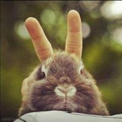 Bunny DeVille's photo