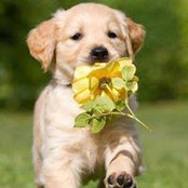 Paula Draghia's photo