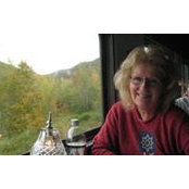 Judi Storms foto