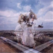 Danielle Manolas Gottschalk's photo