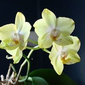 Barbara Gift's photo