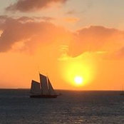 Dawn Stavola's photo