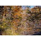 Jason Holstine's photo