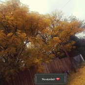 Tracy Perez's photo