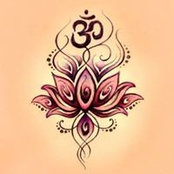 MaryAnn Braun's photo