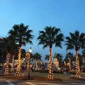 Bonnie Acre's photo