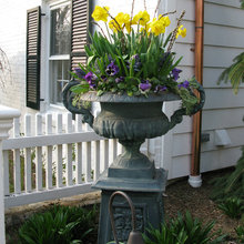 CONTAINER Gardening