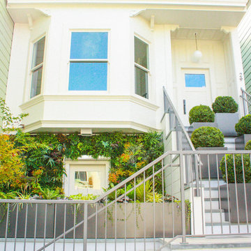 Dorland Vertical Garden SF