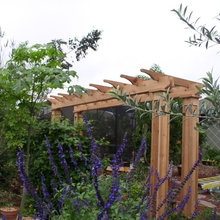 Pergola