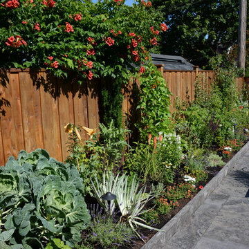 Raised Vegetable / Ornamental Garden 2015