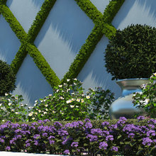 Outdoor Front Wall