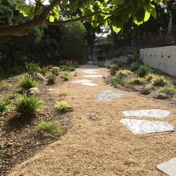 Path Detail