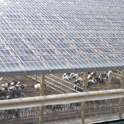 Clear and Translucent Panels - Outdoor Products