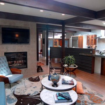 My Houzz:  Midcentury Modern Revival in Denver