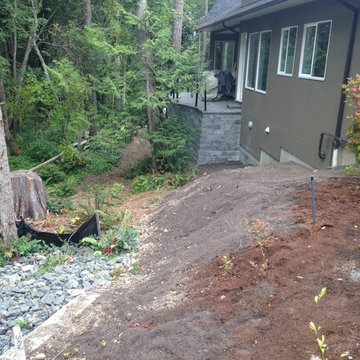 Renaturalisation of a backyard