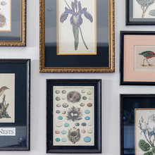 Frames & Matting