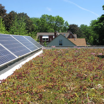 EcoDEEP HAUS