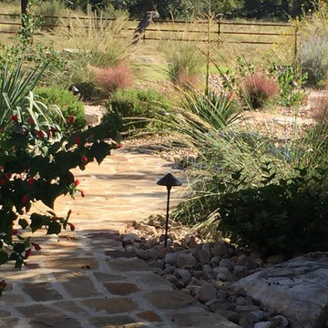 Texas Hill Country Collection