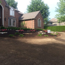 Front yard