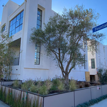 Las Palmas residential