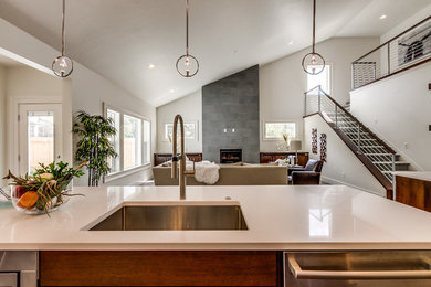 Inspiration for a contemporary home design remodel in Boise