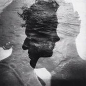 André Romitelli's photo