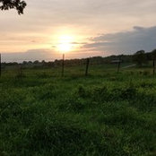 Tiffany Cox's photo