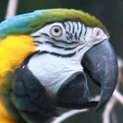 Bill Goodrich's photo
