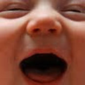 Jess Lappings foto