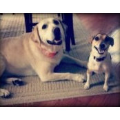 Kimberly Klemm-Gahring's photo