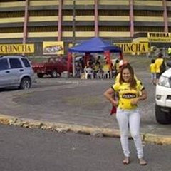 Summaproyectos
