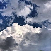 Marilyn Donham's photo