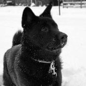 Joshua Fogarty's photo