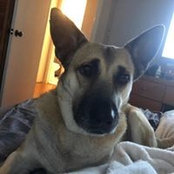 John Challenor's photo