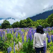 Natalie Goldberg's photo