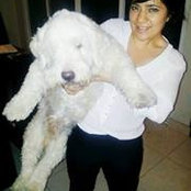 Foto von Liz Juárez San