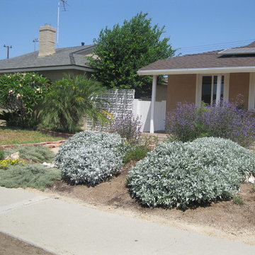 Sustainable Fullerton Garden Makeover