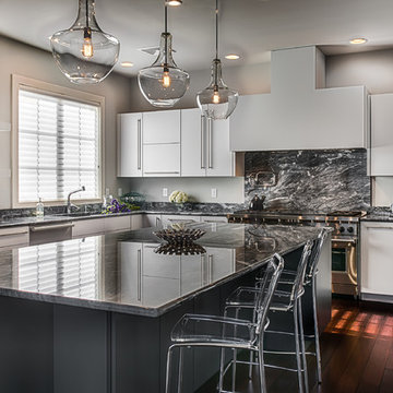 Sleek Contemporary Kitchen