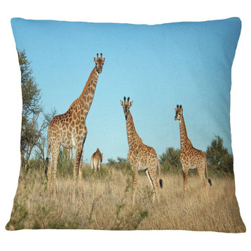 Giraffe Family in Africa African Throw Pillow, 16"x16"