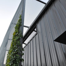 Willlow wall project