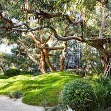 hume courtyard
