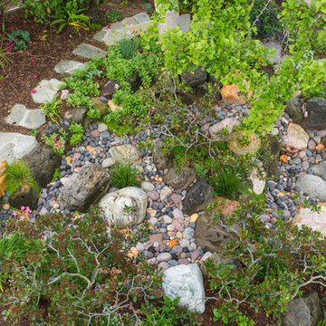 Gordon's Landscape Renewal
