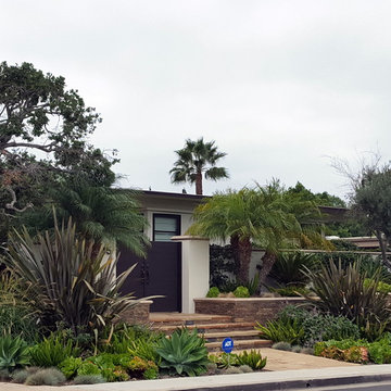 Agave Garden