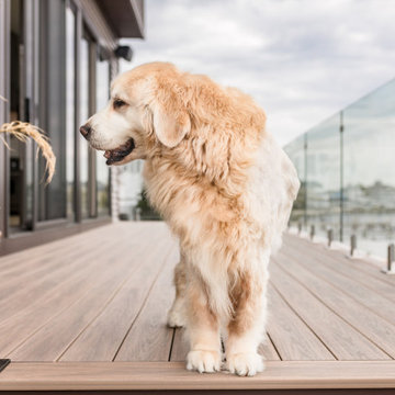 Pet-Friendly Contemporary Home on the River