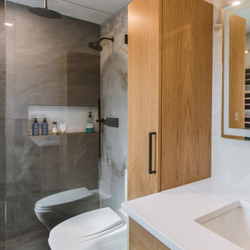 Contemporary bathroom remodel