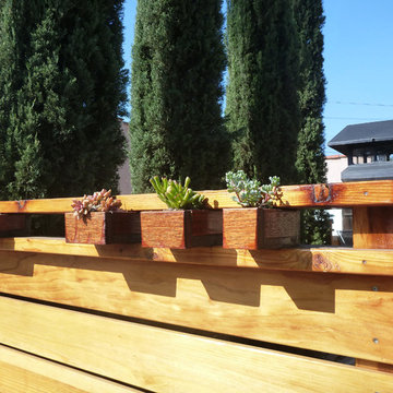 Long Beach Succulent Fence