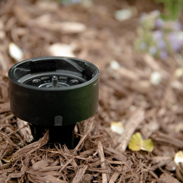 Light Up Your Outdoor Spaces with Denali Tech's Radiant Audio Solutions
