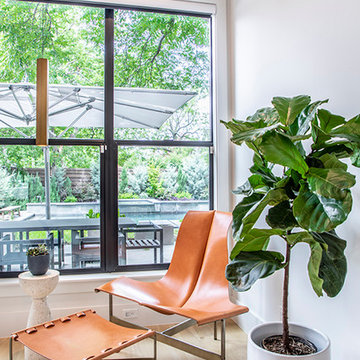 Global Modern Home