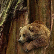 Photo de Julie Smith