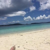Thomas Alexander's photo